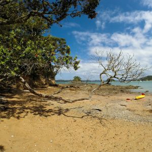 anya-vero-7HxJscOyS-Y-unsplash Coastal & Island Survival: Tides, Signals, and Safe Foraging Basics