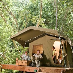getty-images-fbJBWuHWLbU-unsplash Jungle & Rainforest: Humidity-Safe Travel and Camp Setup